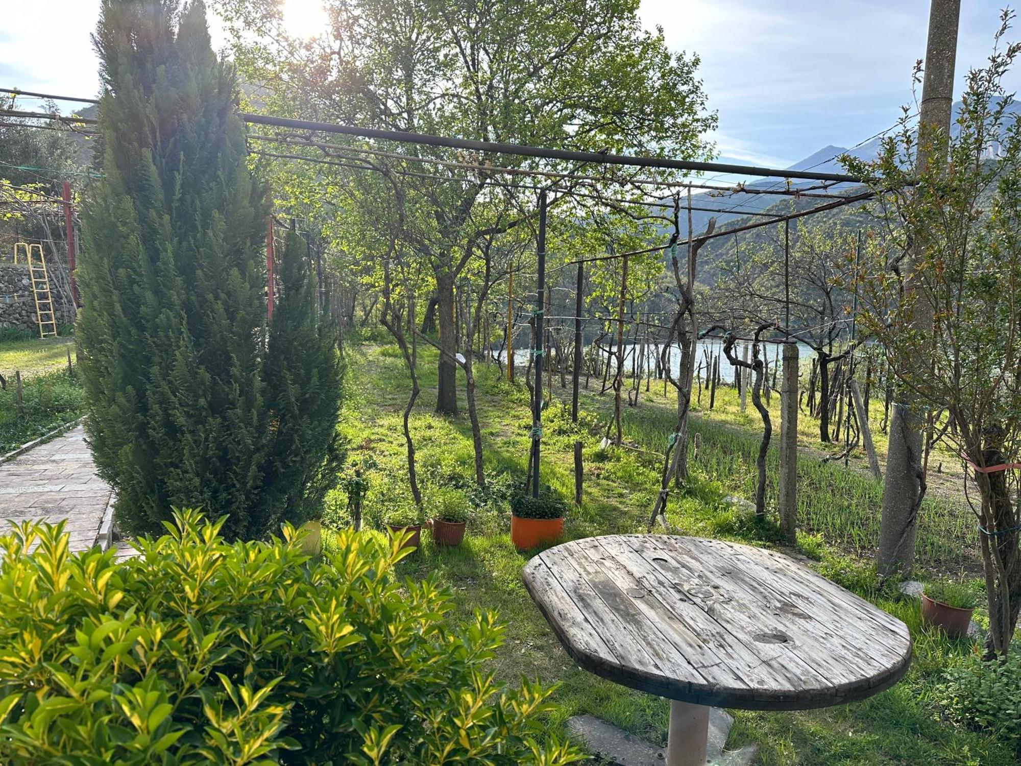 Lakeview Escape Koman Exteriér fotografie
