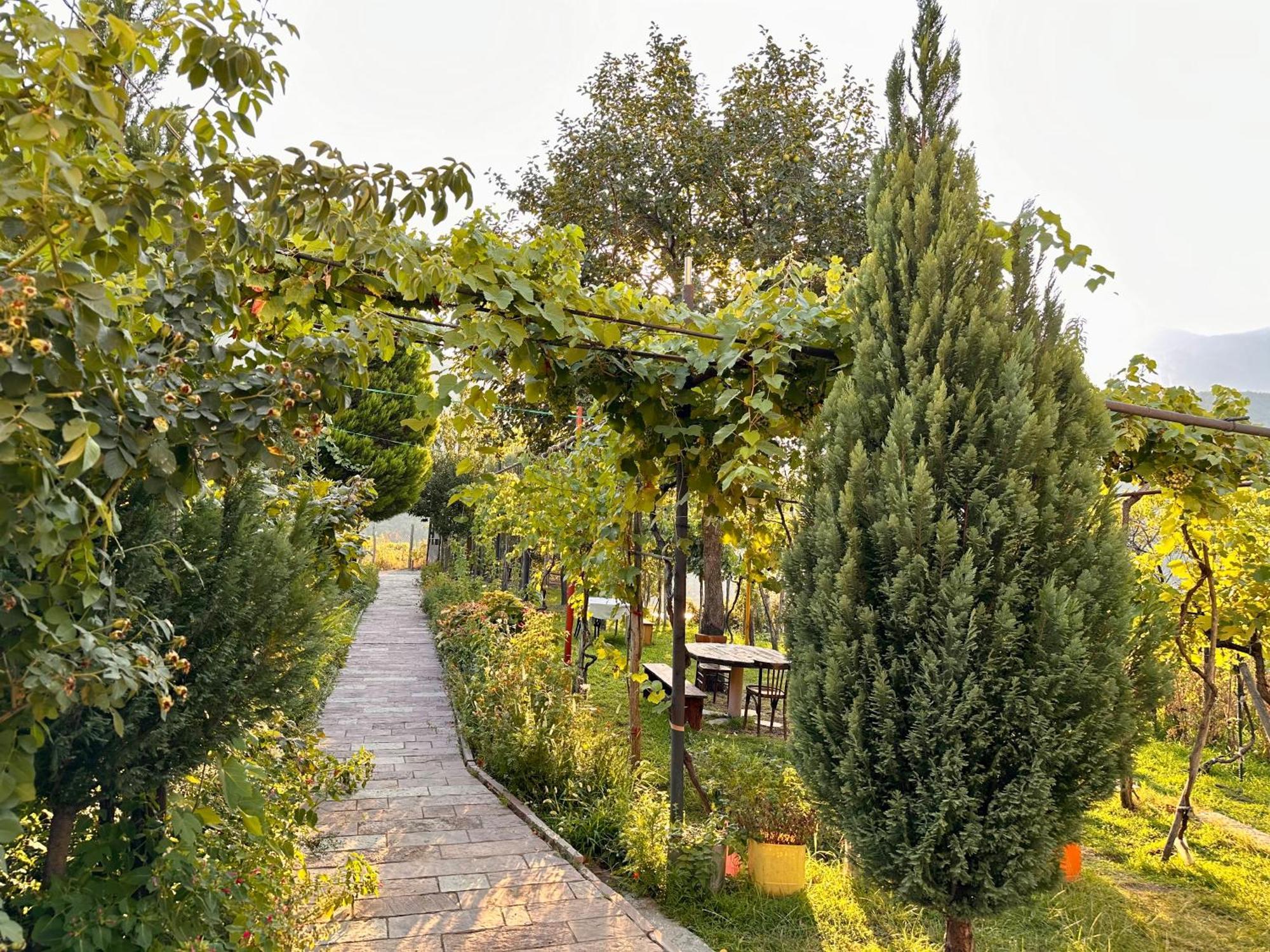 Lakeview Escape Koman Exteriér fotografie
